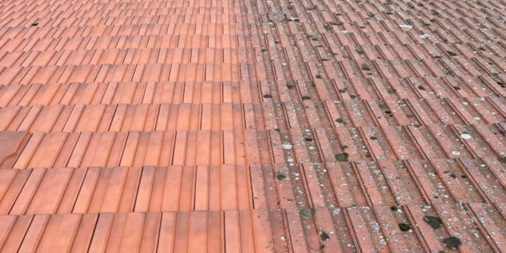 o nettoyage o multiservices - nettoyage de toitures vapeur basse pression dans le 51 marne chalons en champagne (2)