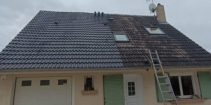 o nettoyage o multiservices - nettoyage de toitures vapeur basse pression dans le 51 marne chalons en champagne