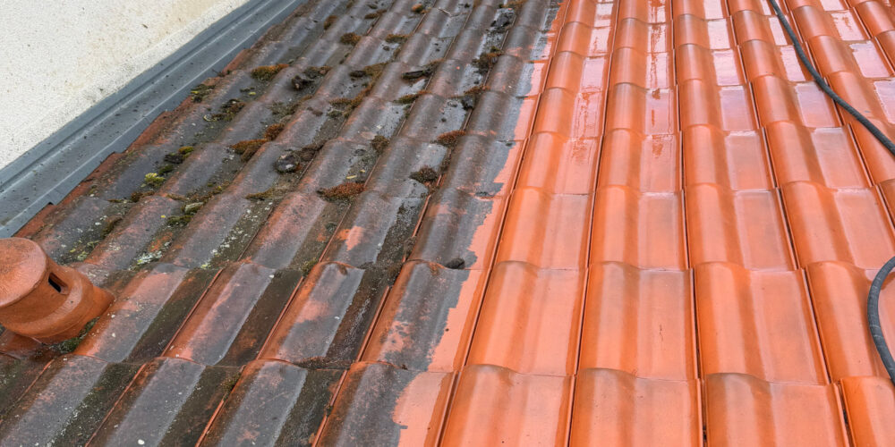 application anti mousse a action lente sur tuile béton double Romane 2