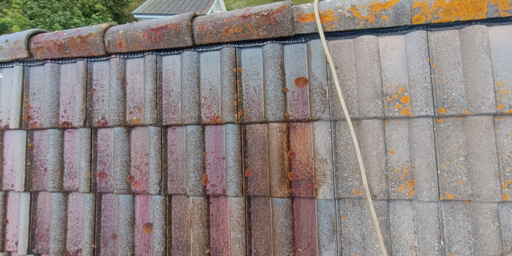 avant après tuile panne h2 nettoyer a la vapeur